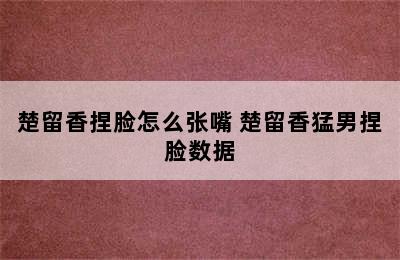 楚留香捏脸怎么张嘴 楚留香猛男捏脸数据